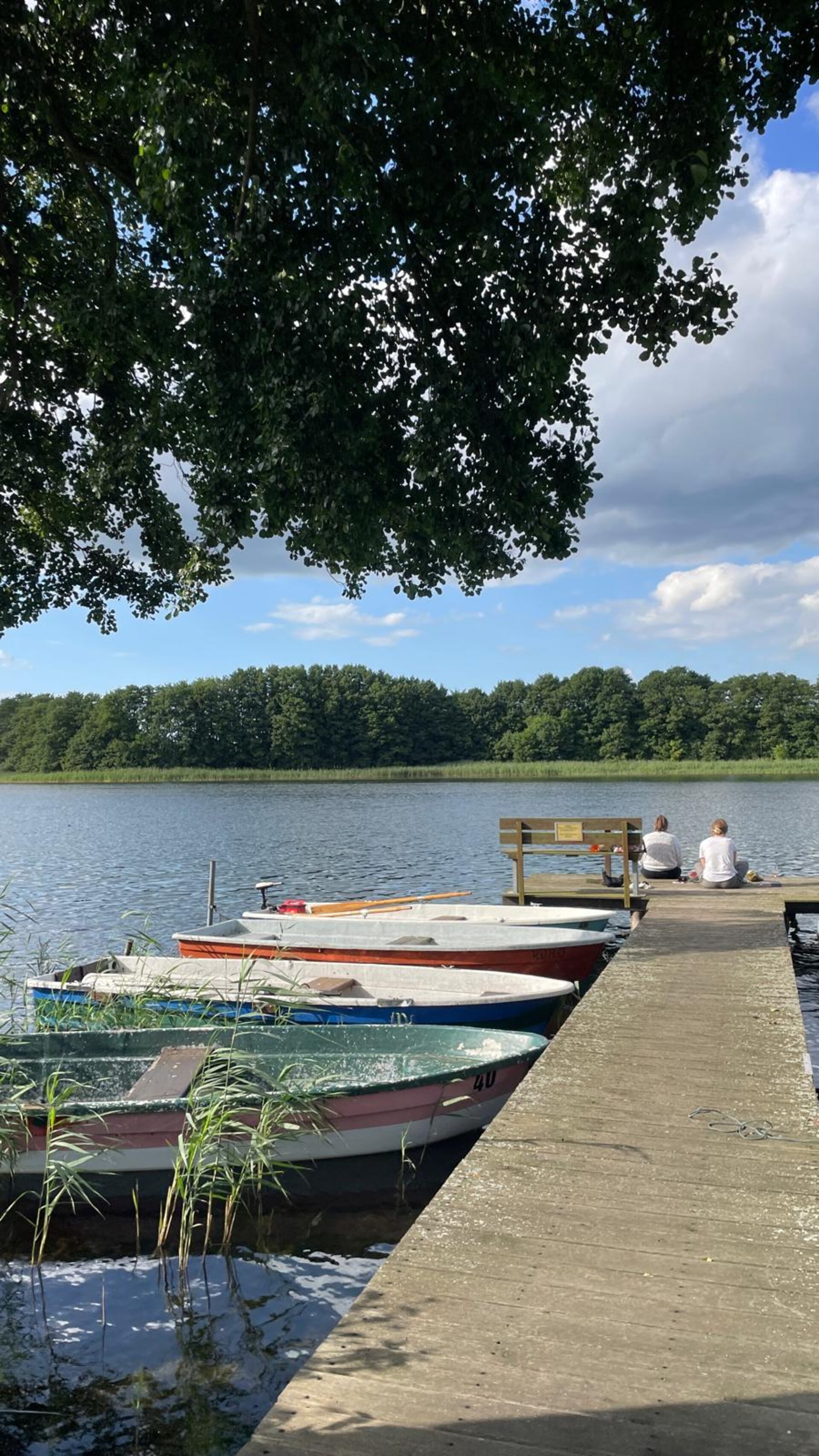 Steg mit Booten am Dranser See im Sommer