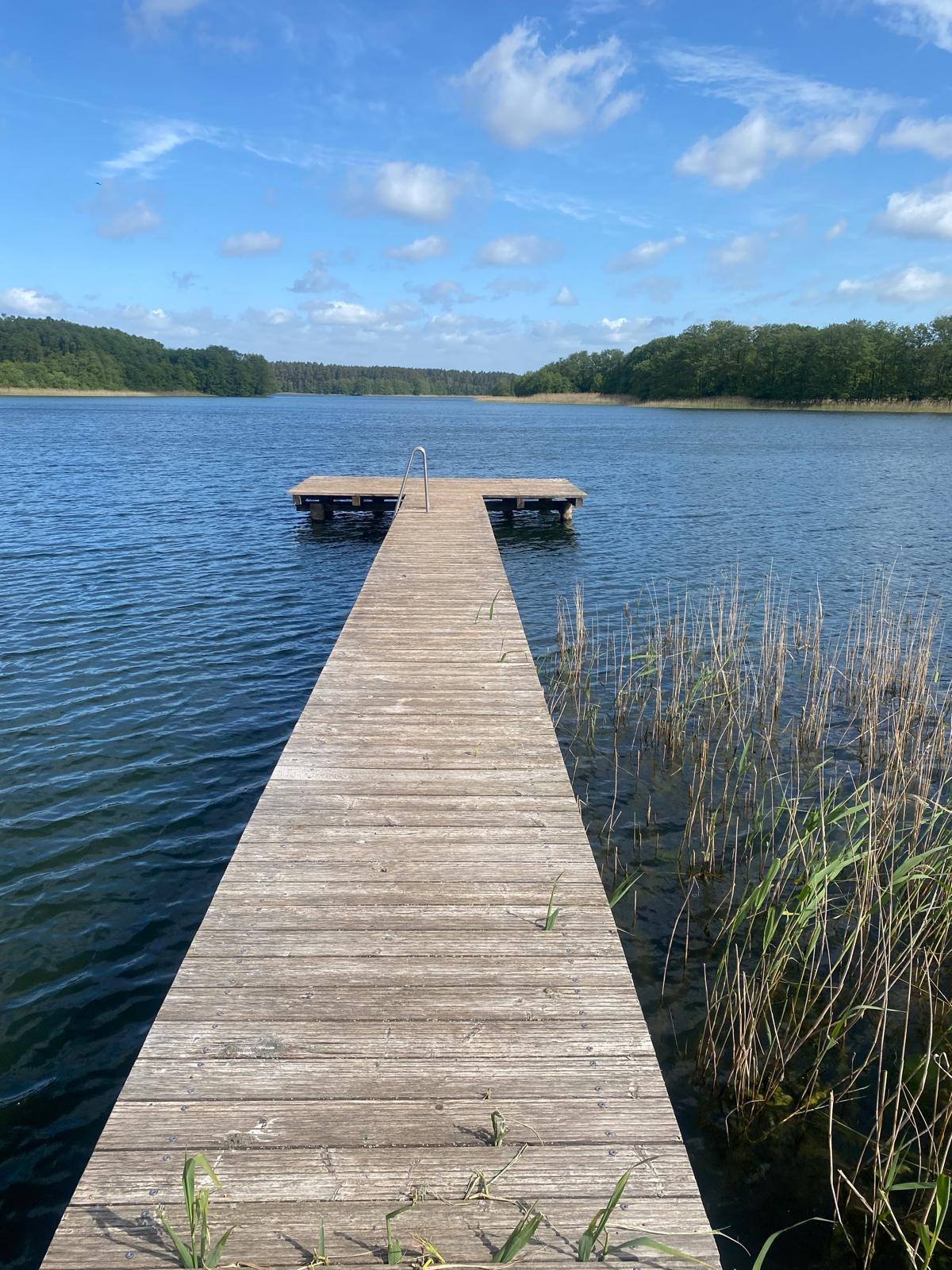 Badesteg mit Leiter an der Badestelle Schweinrich am Dranser See